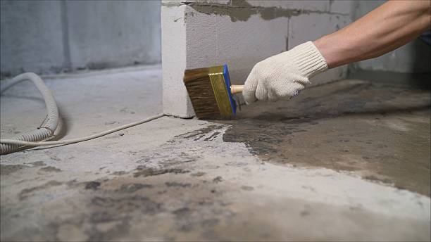 24/7 Emergency Vapor Barrier Installation experts in Bellevue, WA